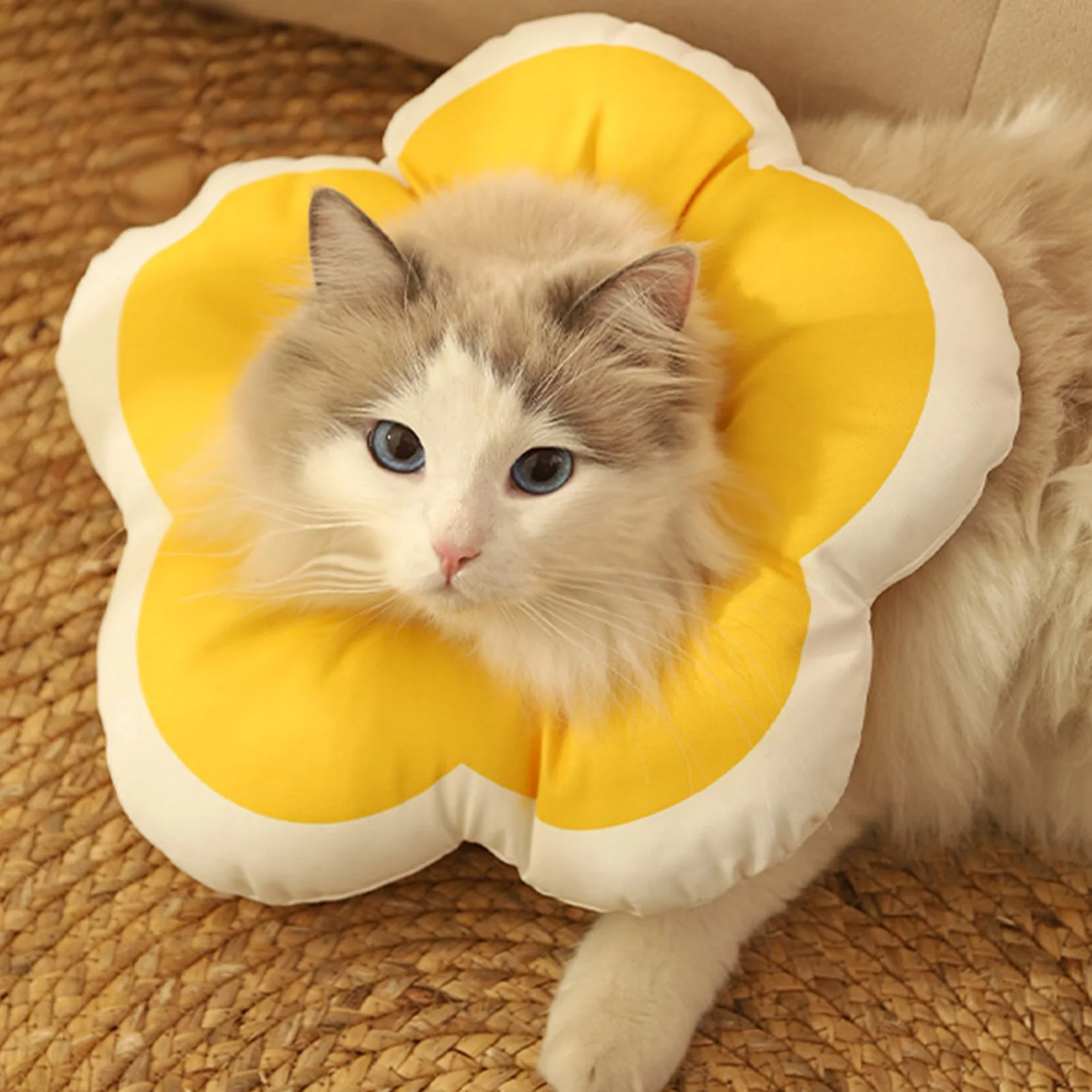 Pet Dog Cat Flower Recovery Cone Collar Comfortable and Unobstructed Vision Flower Collars for Accelerate Wound Healing