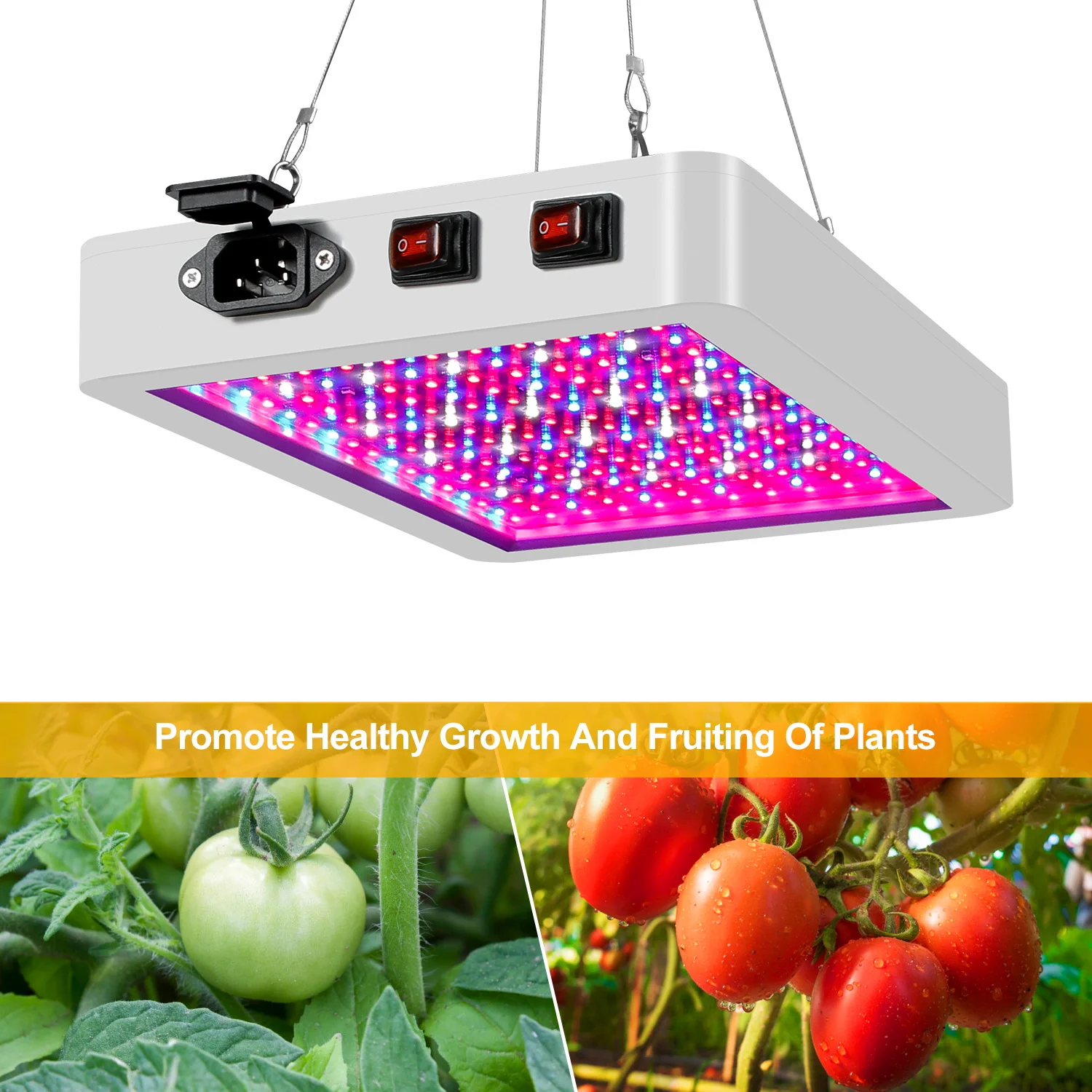 2000W Grow Light LED Full Spectrum Lamp with Double Switch For Plants Lighting Growth Bulb Fitolampy Indoor Seedlings Flower