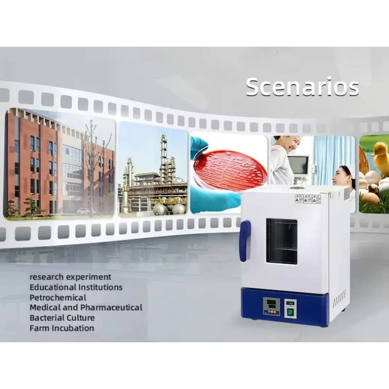 

Electric Heating Constant Temperature Incubator Laboratory Food Microbiology Plant Seed Incubator