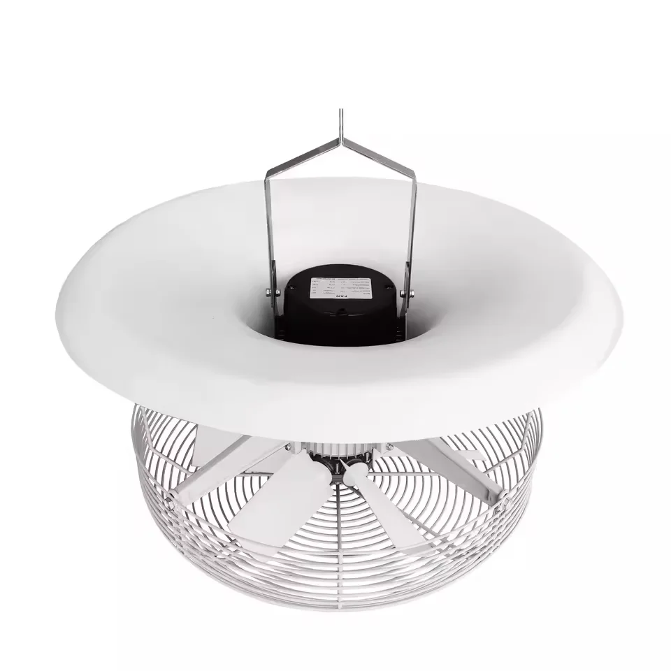 

Hanging Vertical Airflow Fan Greenhouse Hanging air Vertical Circulation Fan for Greenhouse Indoor Farm