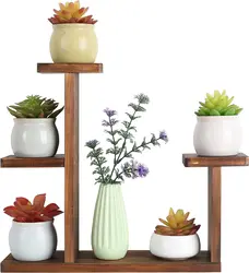 Multi-layer Desktop flower stand green radish meat wood floating window balcony living room office mini flower pot shelf