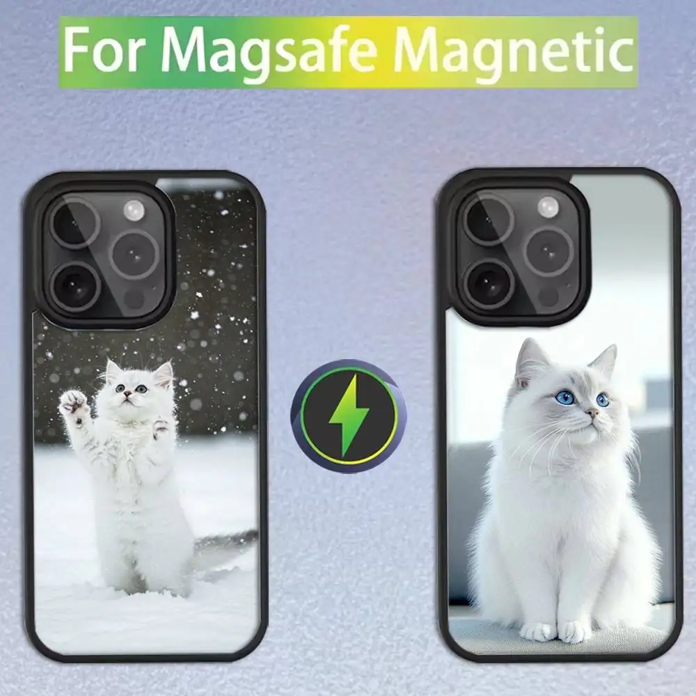 

Lovely Ragdoll Cat Cute For iPhone 17,16,15,14,13,12,11,Pro,Max,Plus,Mini,SE4,E Magnetic For Magsafe Wireless Phone Case