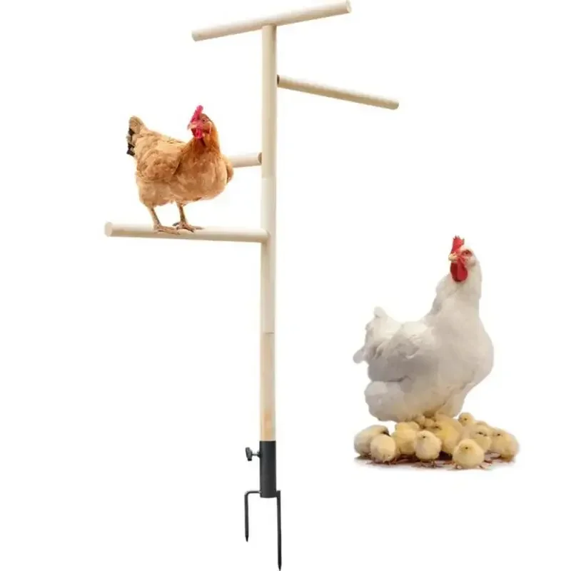 Chicken Standing Perch Outdoor Poultry Chicken Stand Perch Toy Playground Birds Training Branch Perch with Ground Plug For