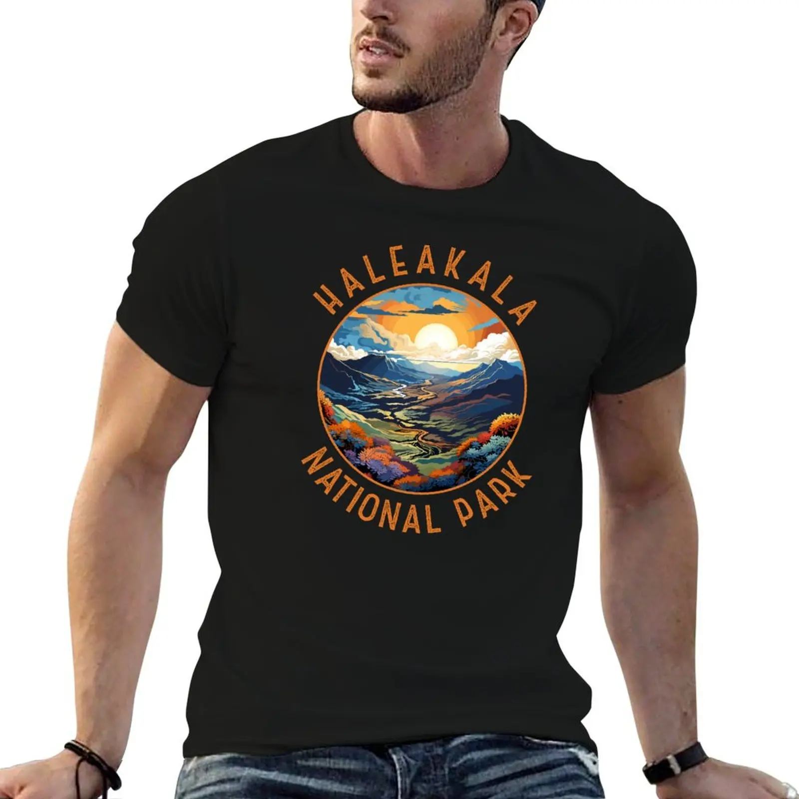 Haleakala National Park Sunset Retro Distressed Circle T-Shirt anime figures plain Men's cotton t-shirt