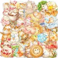 50pcs