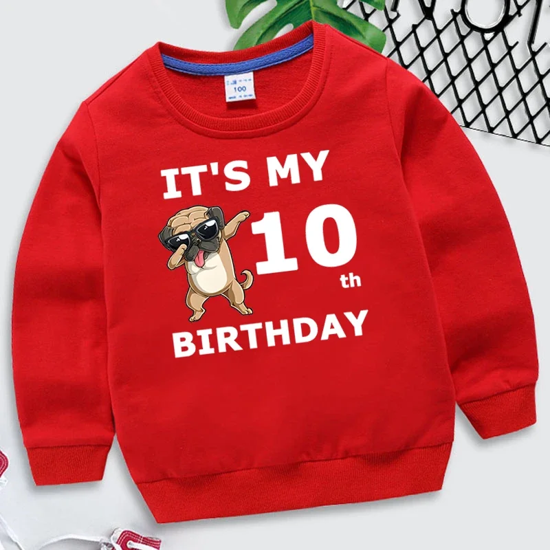 Funny Dogs Birthday Number 1-10 Kids Sweatshirts Children\'s Kawaii Pullover Cartoons Boy Girl Hoodies Birthday Party Red Hoodie