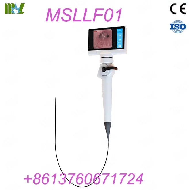 endoscopy video endoscope MSLLF04