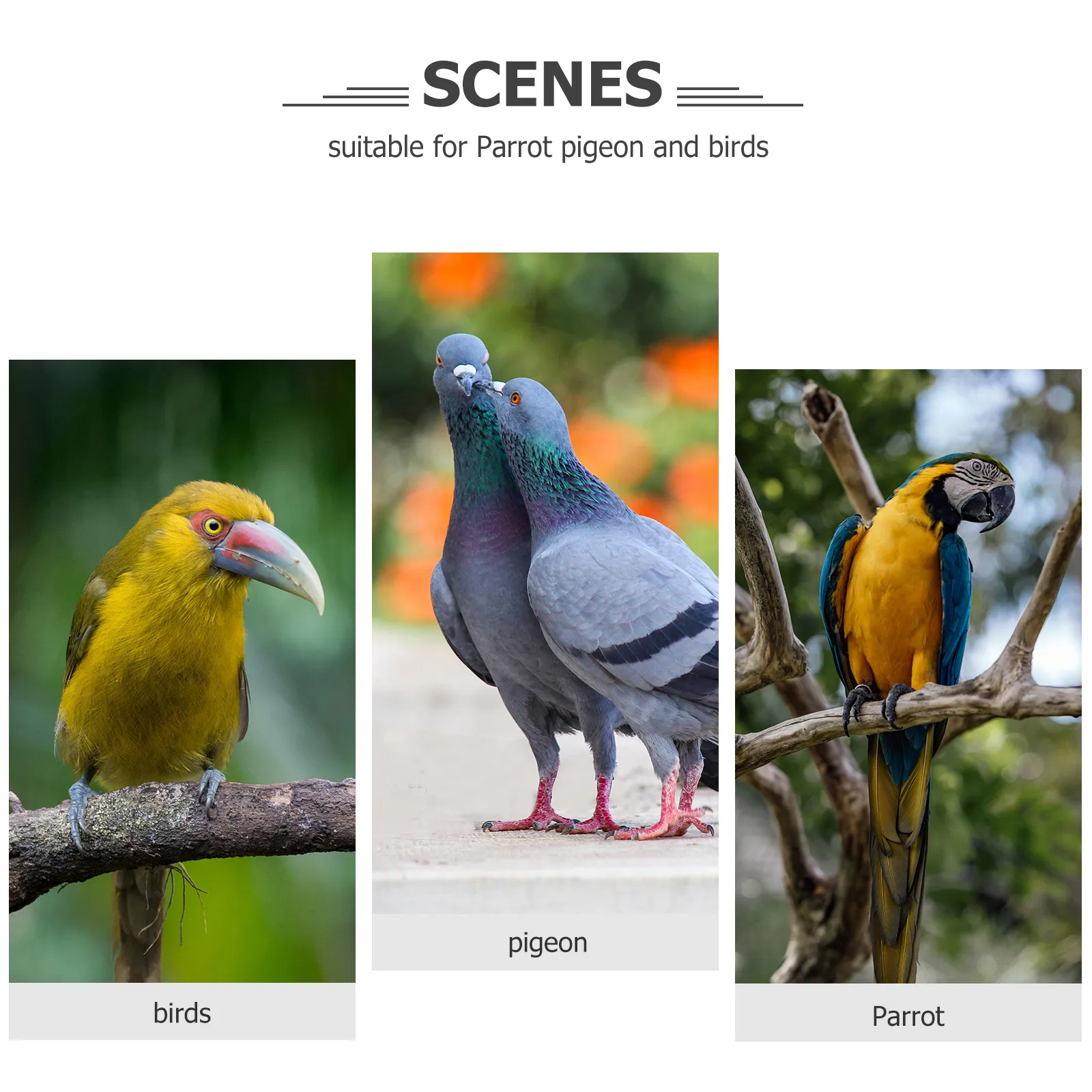 

Parrot Anti-Biting Cone Bird Protective Collar Yellow XS Neck Collar for Parrots Wound Healing Safe Comfortable Fit
