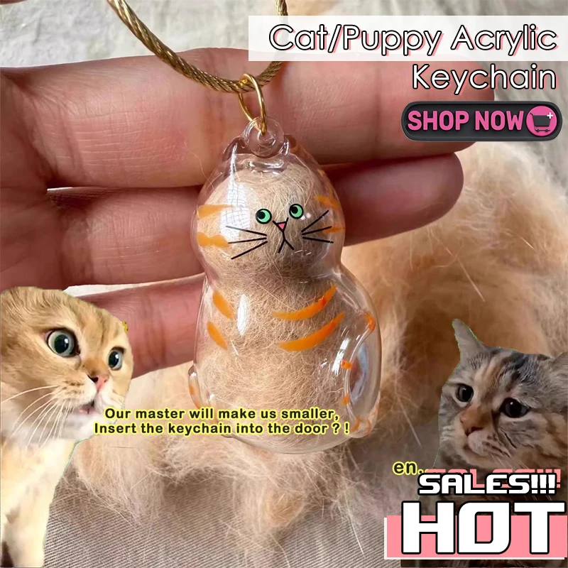 Clear Cat Hair Storage Keychain Acrylic Pendant Hanging Backpack Pendant Gifts Women Students Key Chain