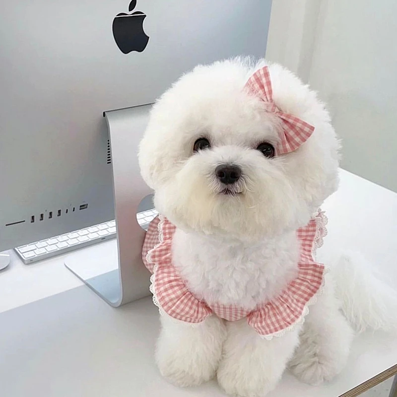 Ins PinkPplaid Flying Sleeve Pet Princess Skirt Teddy Bichon Pomeranian Puppy Small Dog Cat Dresses Summer Dogs Clothes 강아지 여름옷