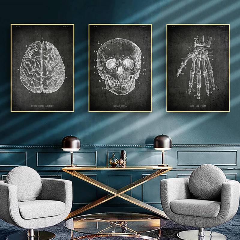 Human Body Structure Canvas Poster Heart Brain Bone Model Wall Art Pictures for Living Room Study Medical Club Modern Home Decor