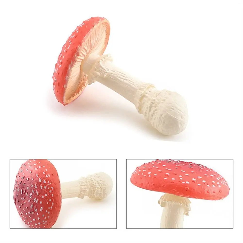 Vegetable Model Fungus Figurines Landscape Miniatures Artificial Simulation Mushroom Teaching Pleurotus Fungus Model