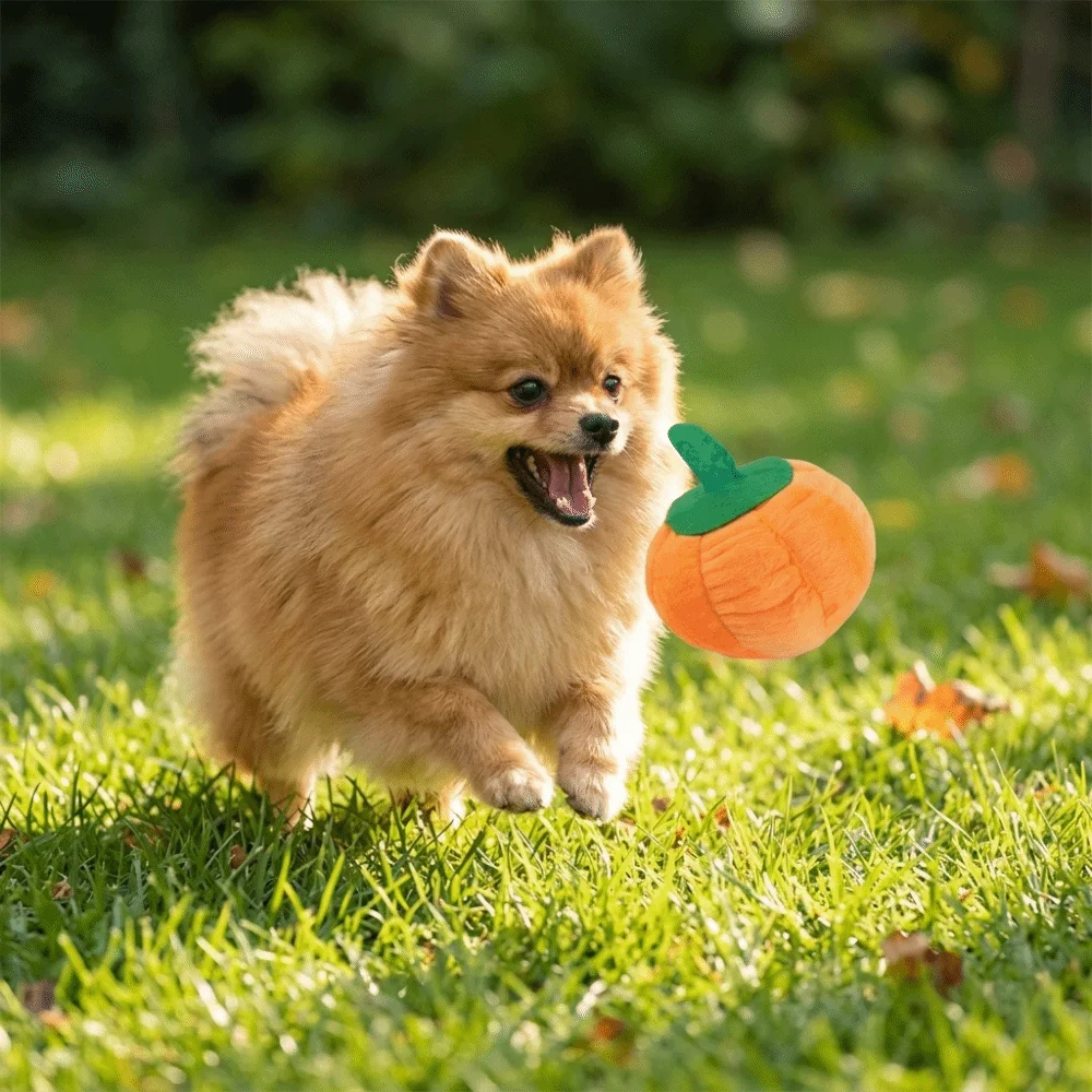 Pet Supply Soft Pet Interior Orange Squeaky Dog Squeaky Insert Pumpkin Shaped Pumpkin Dog Teeth Grinding