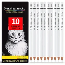 White Charcoal Pencils for Drawing, Professional 10 Pieces White Colored Pencils for Sketching, Shading, Blending, White