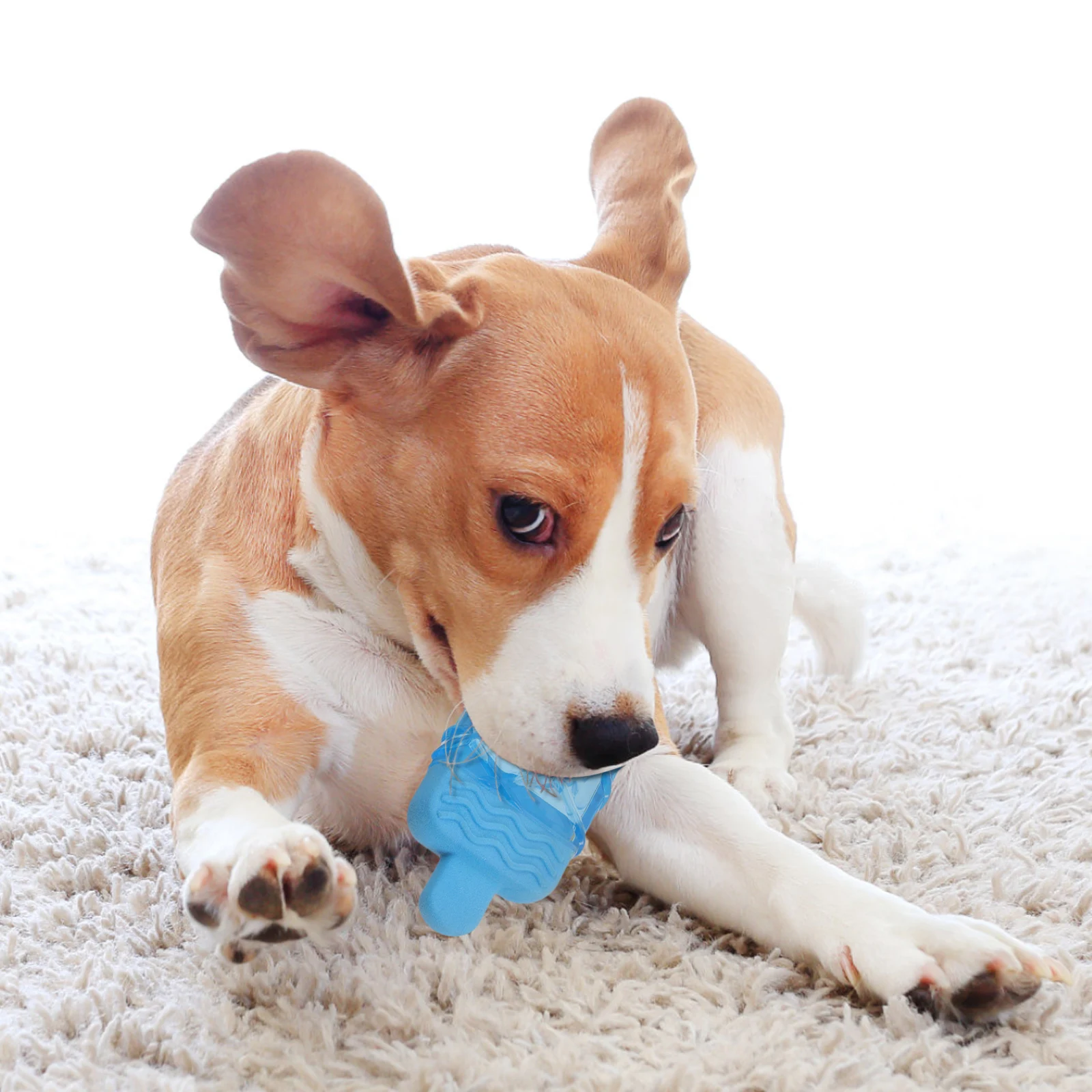 

3pcs Dog Chew Squeaky Freezable Teething Puppy Cooling Relief Soft Durable Training Tools Watermelon Pineapple Shaped For Small