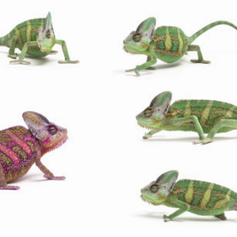 

4 Pcs/2pcs Rear Drive Shaft Steel Driveshaft CVD For 1/10 Trxs Slash Rustler Hoss Stampede VXL 4X4 RC Car