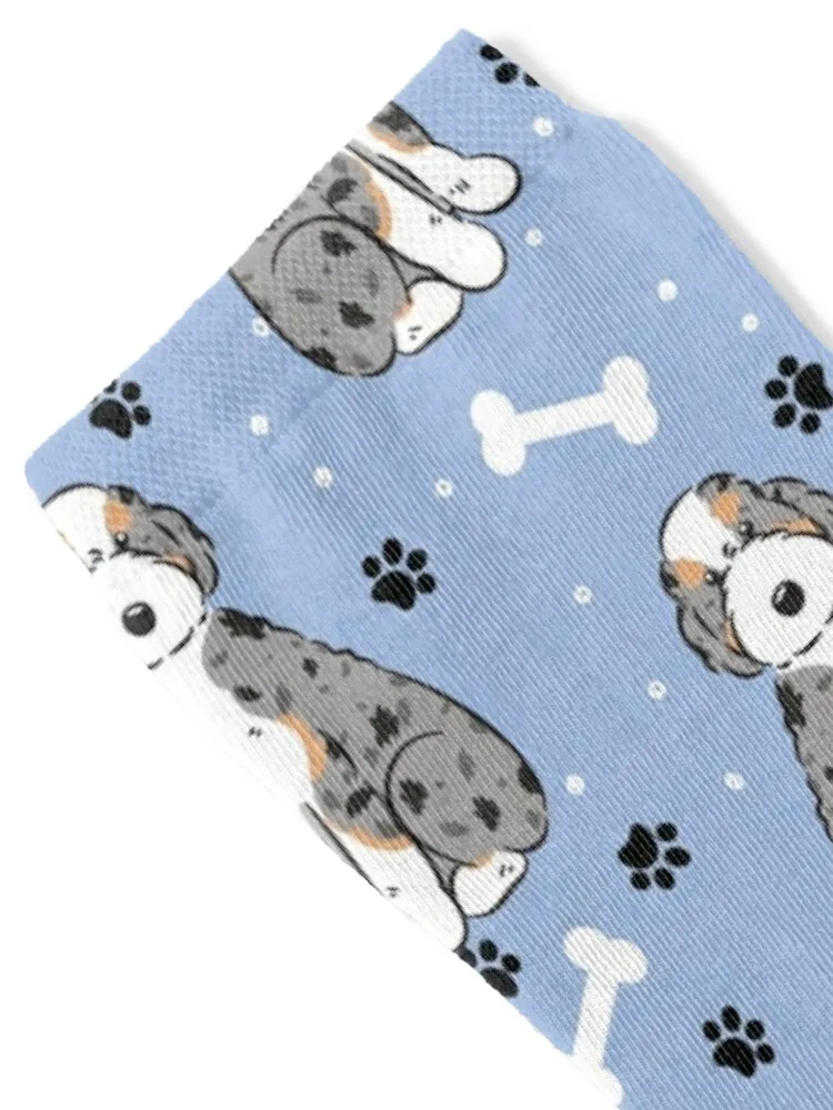 Blue Merle Tan Aussiedoodle Aussie Doodle Dog Socks designer new year winter christmass gift Socks For Women Men's