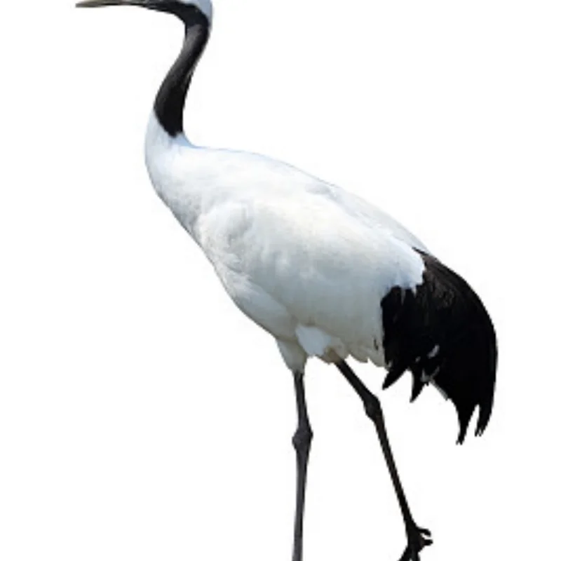 

1pcs 360 Degree Rotating Light LED Engineering Lamp for 1/14 Excavator Tamiya RC Truck Trailer Tipper Scania 770S Car Diy Parts