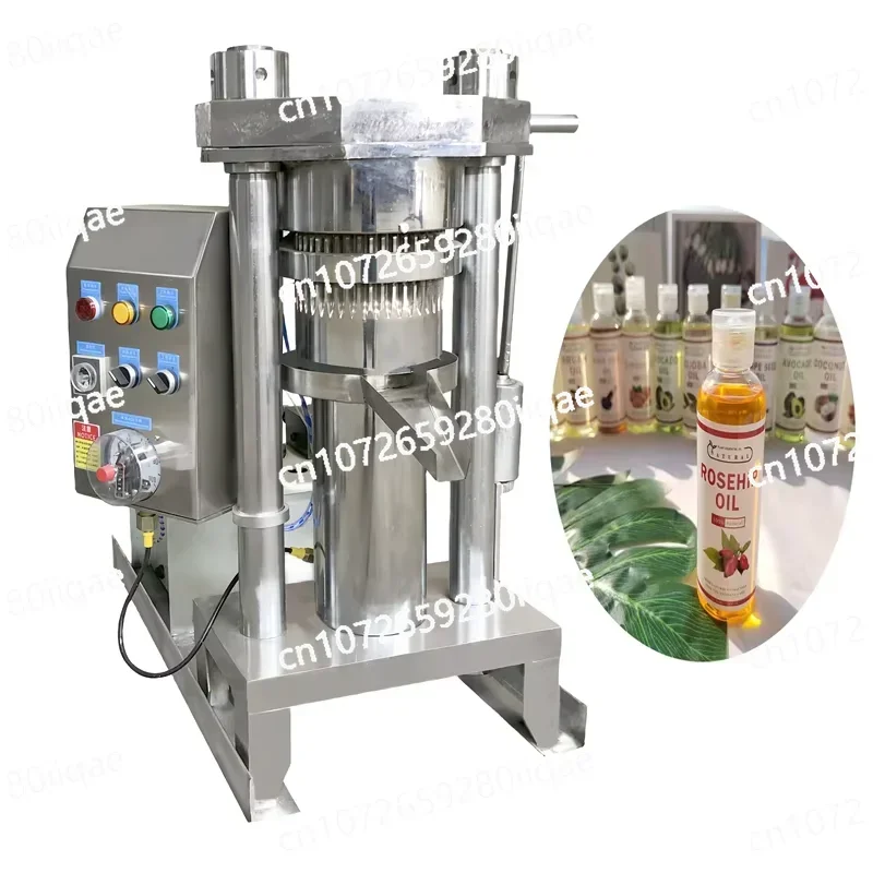 Automatic edible oil extraction hydraulic cocoa wine butter avocado soybean coconut cold oil press