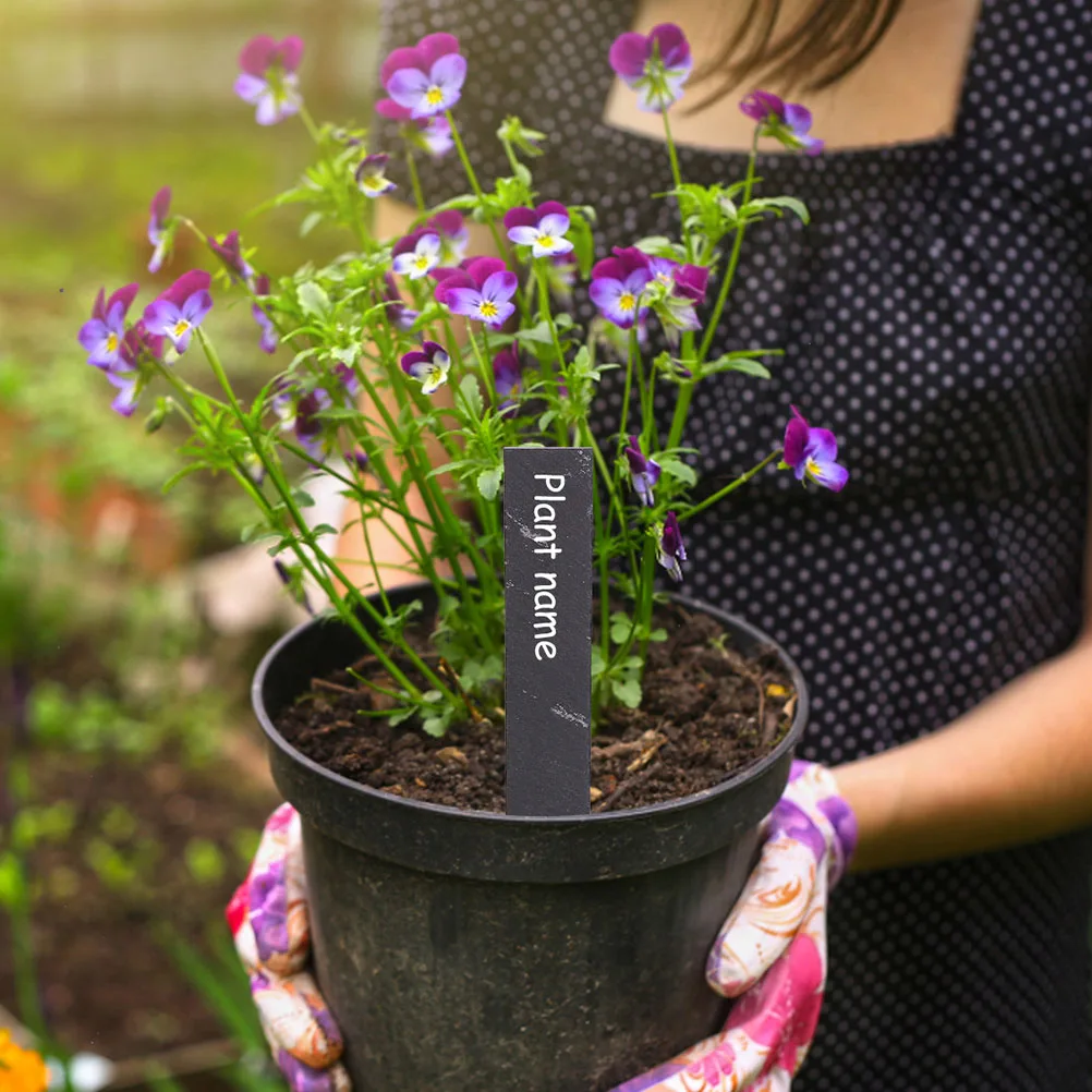 

12pcs Plant Labels Durable Safe Garden Decoration Stone Tags Flowerpot Signs Plant Markers Gardening Accessories Ornament