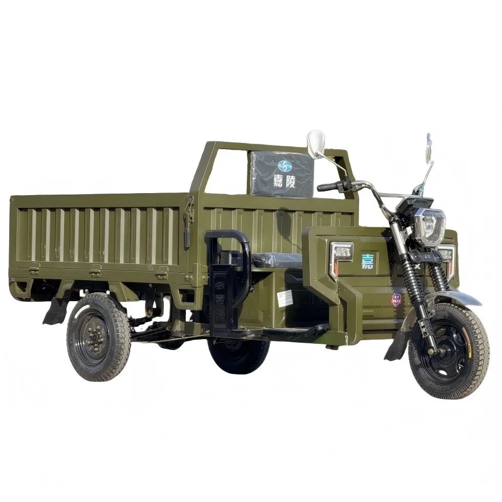 Commercial Delivery Van 1300W 800kg Electric Tricycle 3-Wheel Freight Passenger Utility 72V 1.8m Flatbed