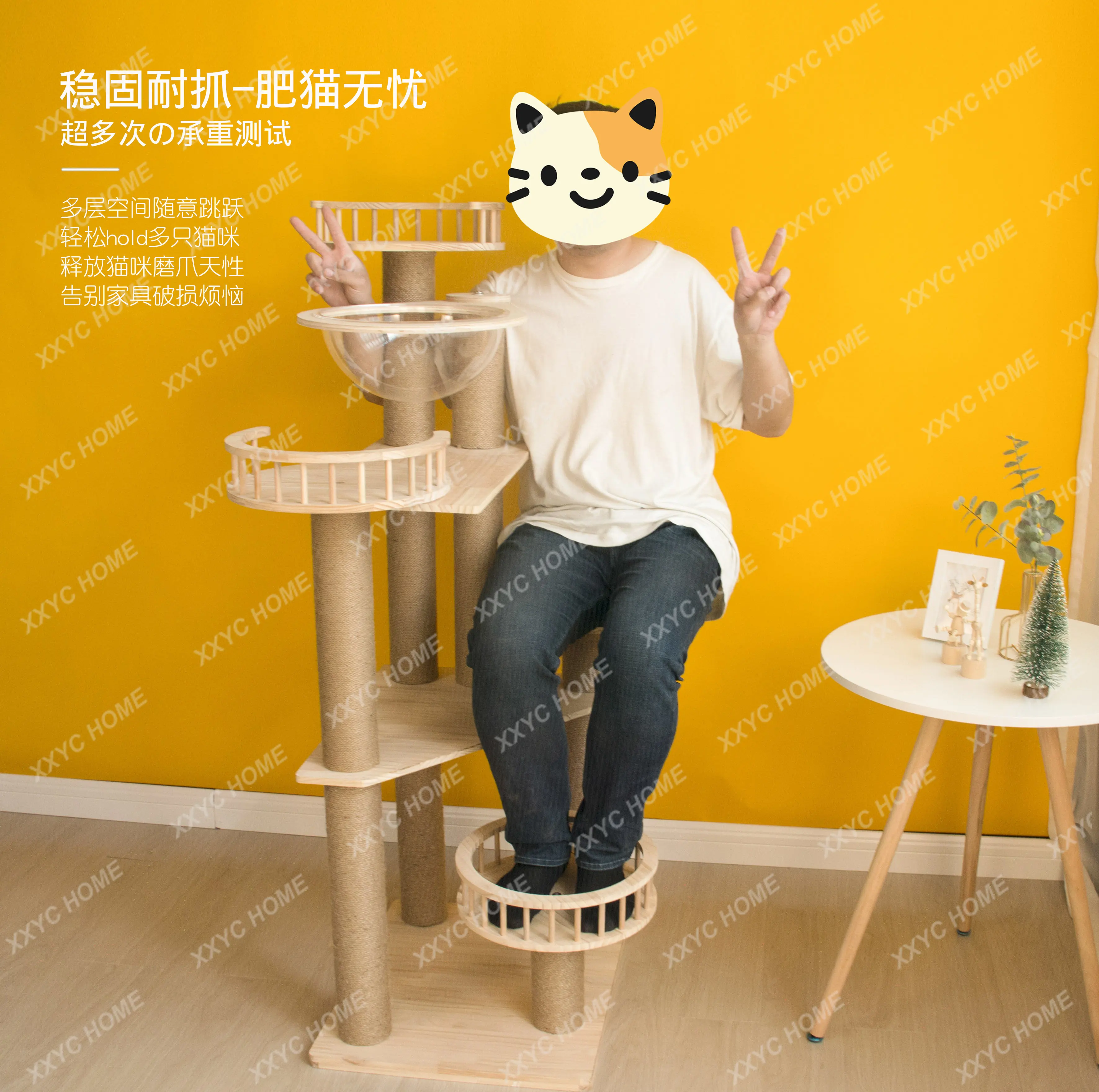 Solid Wood Cat Climbing Frame Small Imported Wood Pet Cat Rack Tongtianzhu Space Capsule Cat Nest Cat Climbing Frame Integra