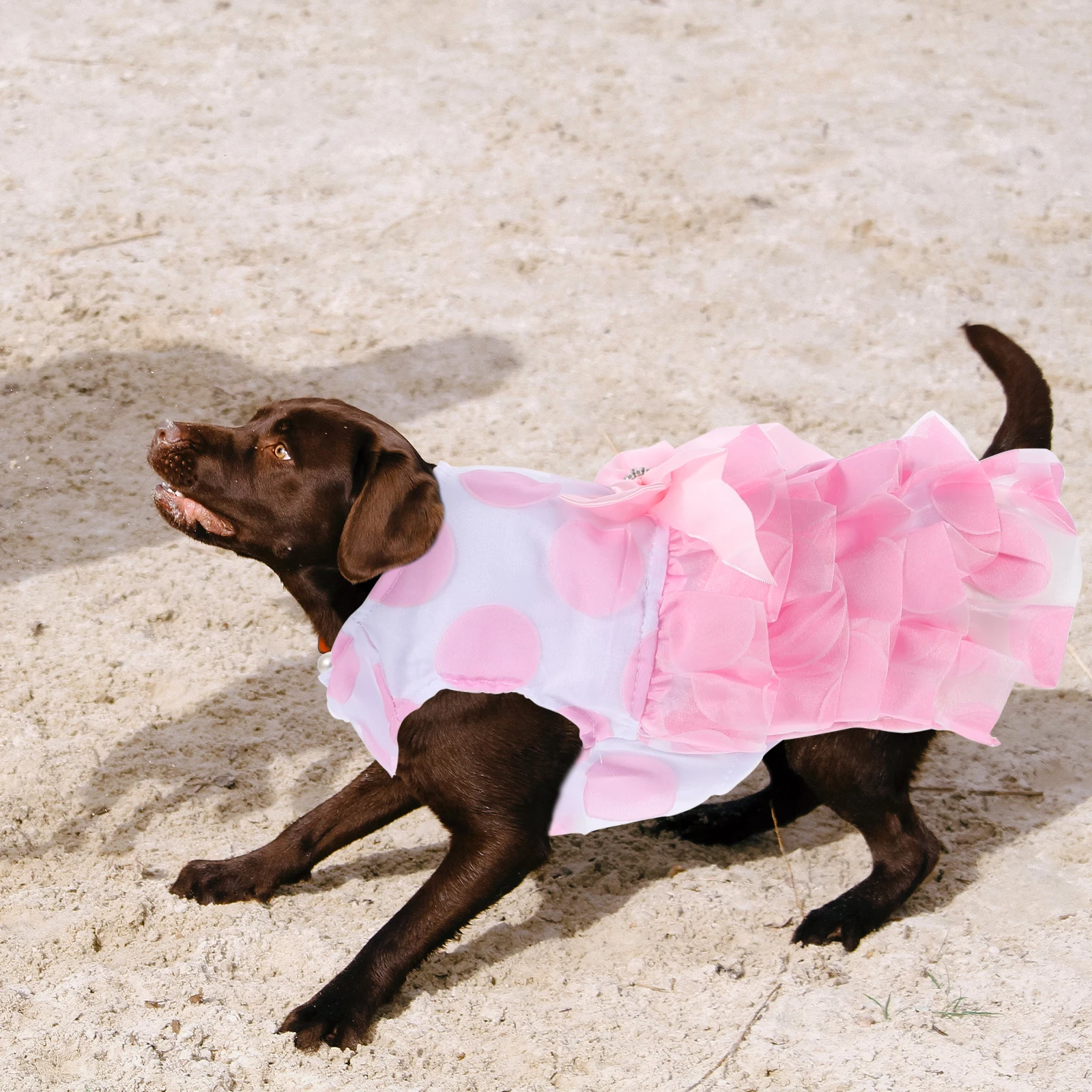 

Dog Dress Pet Bowknot Tutu Skirt Charming Pink Outfit For Walking Jogging Outdoor Party Photo Shoots Clothing