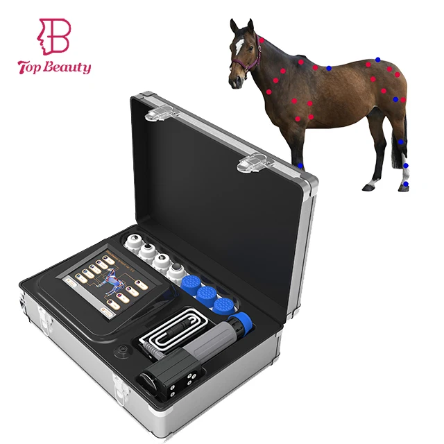 

Portable veterinary eswt extracorporal equine Shockwave Therapy Animal Health Care Products Instrument Machine For Horse