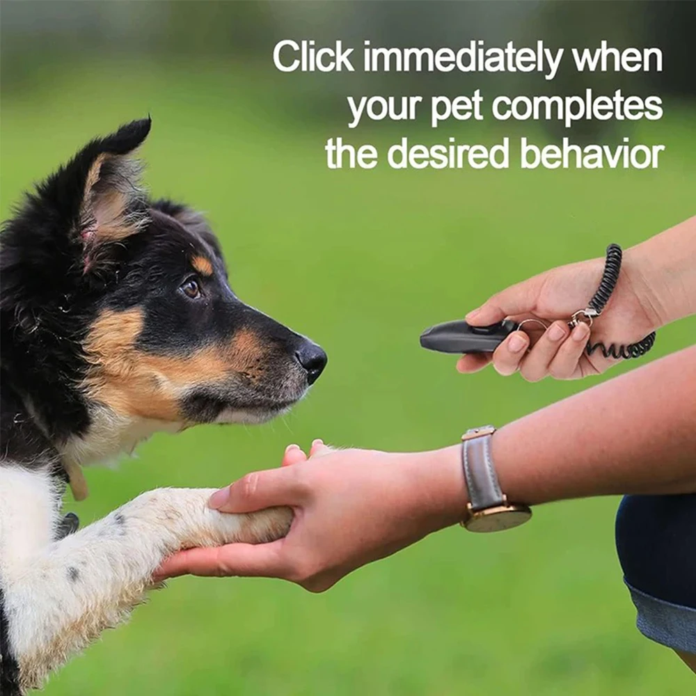 Thumbnail 3 - #22 Highest Rated Dog Clickers to Buy in 2026