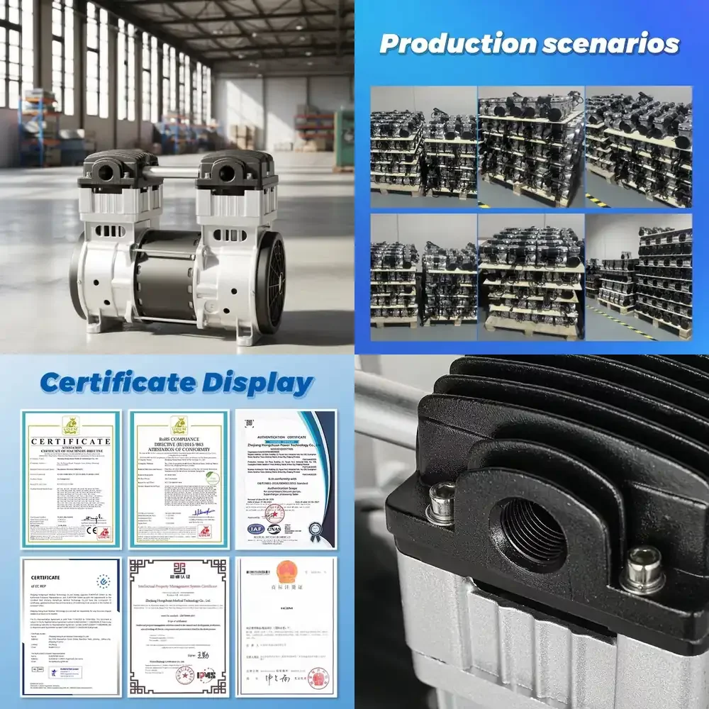 TENGFEI Oil Free Air Compressor for Ozone Generator 220V 50Hz AC Portable High Capacity Air Compressor 100 L min 800 Kpa Air