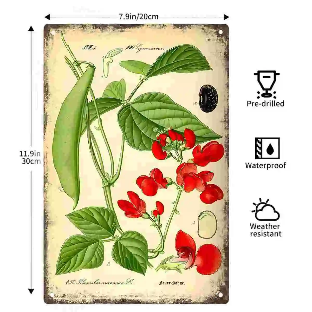 2D FLAT 1pc Vintage Botanical Scarlet Runner Bean Metal Wall Sign Decoration for Home Cafe Garage Bedroom Porch And Garden
