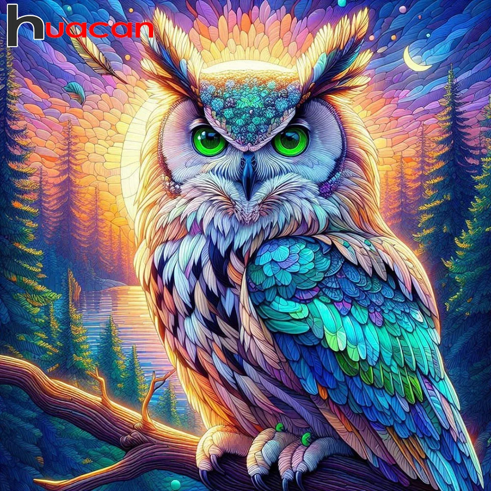 Huacan DIY 5D Diamant Malerei Tier Eule Voll Platz Runde Diamant Stickerei Cartoon Mosaik Set Kunst Dekoration