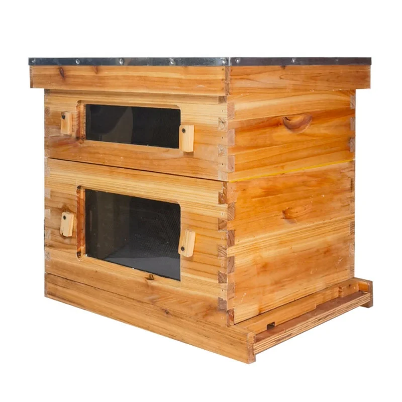 New Automatic Observation Langstroth Deep Bee Hive Box 10 Frame Wood Construction With 100% Natural Beeswax Window