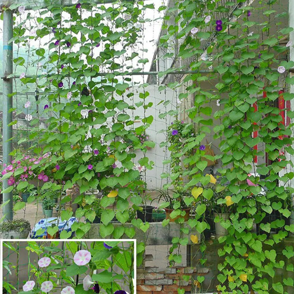 2Pcs 0.9x1.8m Vines Net Green Nylon for Plant Climbing Support Vegetables Fruits Flowers Garden Vines Net Network Gardening