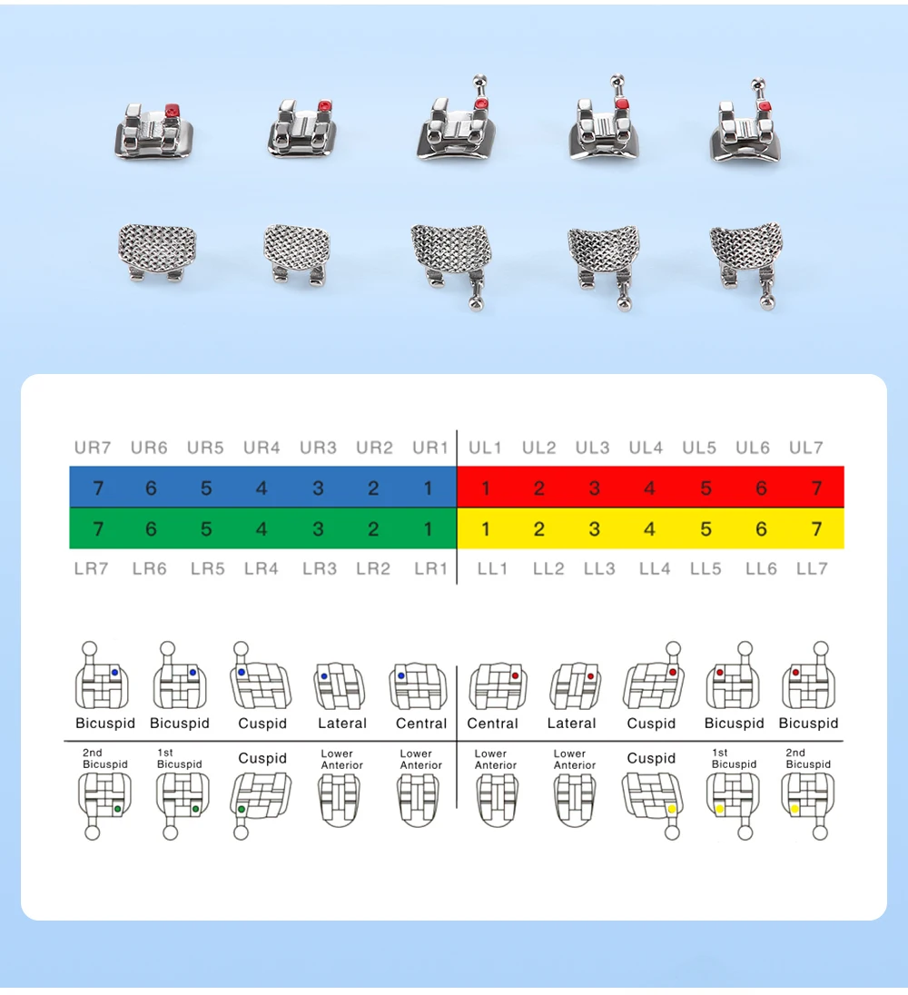 10 Packungen AZDENT Dental Klammern Kieferorthopädische Zahnspangen Metallgeflecht Basis Mini Roth/MBT Slot 0,022/0,018 Haken 3-4-5 Zahnmedizinwerkzeuge – Detail 7