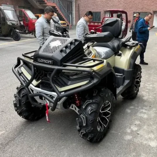 Fuel-type Four-wheel Drive Two-seater Automatic Adult All-terrain Off-road Vehicle ATV/UTV 700