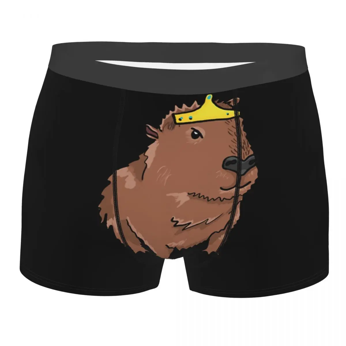 Miss Princess Man's Boxer Briefs Capybara Highly Breathable Underpants Top Quality Print Shorts Birthday Gifts