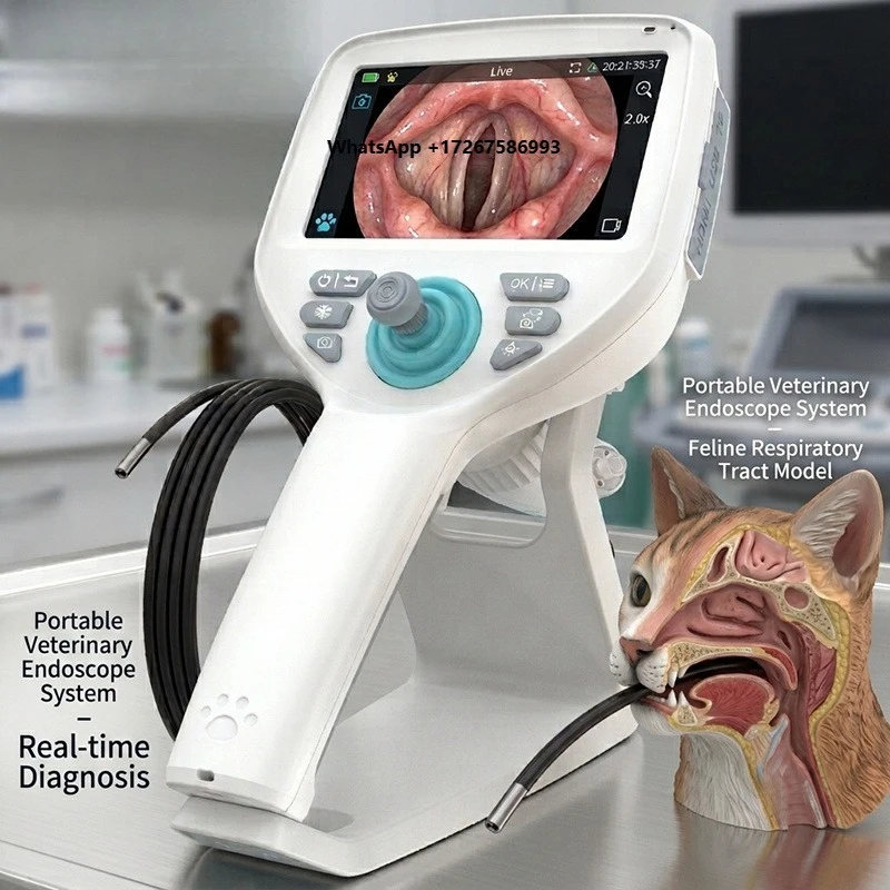 Custom logo high-resolution animal endoscopy equipment and instruments for pet clinic diagnosis and treatment