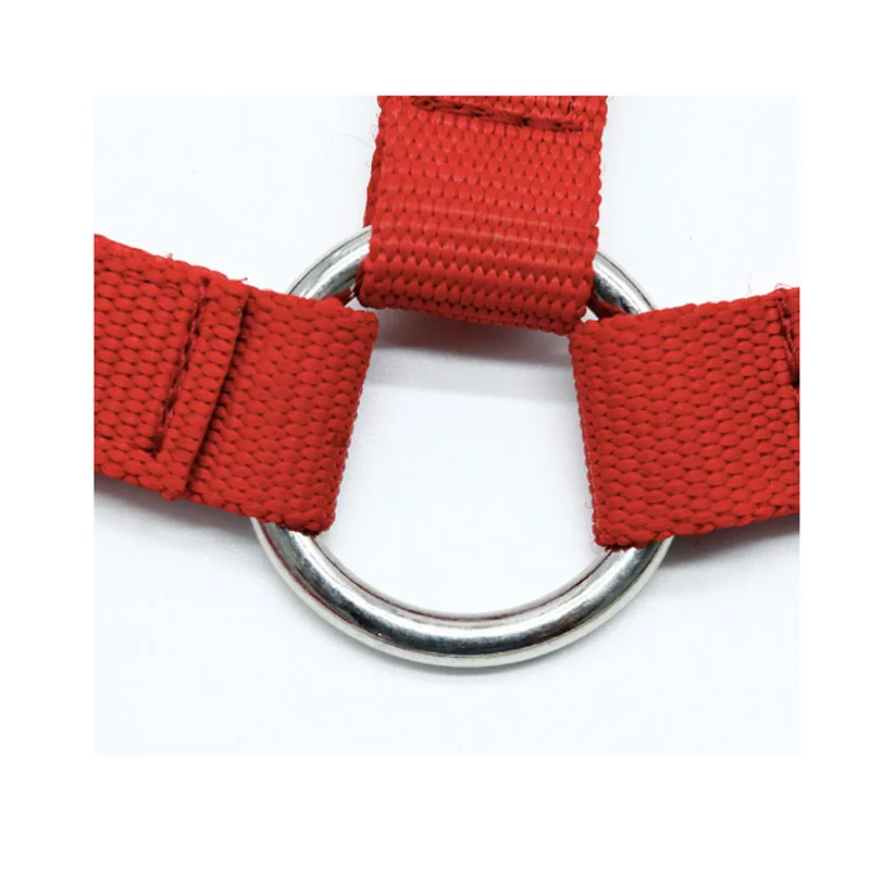 Heavy Duty Soft Nylon Webbing Adjustable Horse Halters with Foam Cushion