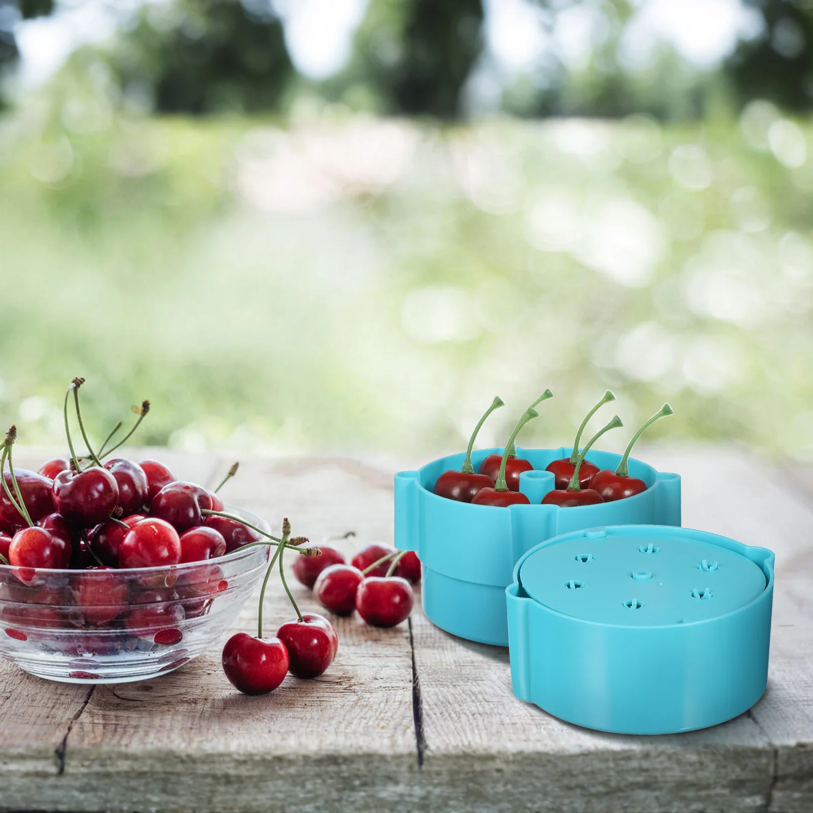 

Portable Cherry Corer 6 Hole Manual Cherry Pit Remover Kitchen Gadget Red Date Pitter Fruit Core Tool Red Date Corer