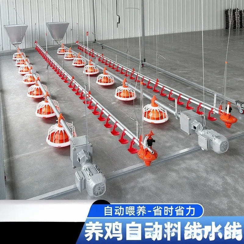 

Customization Poultry Nipple Drinking System Water Production Line Broiler Layers Hen Duck Equipment Chicken Water Line