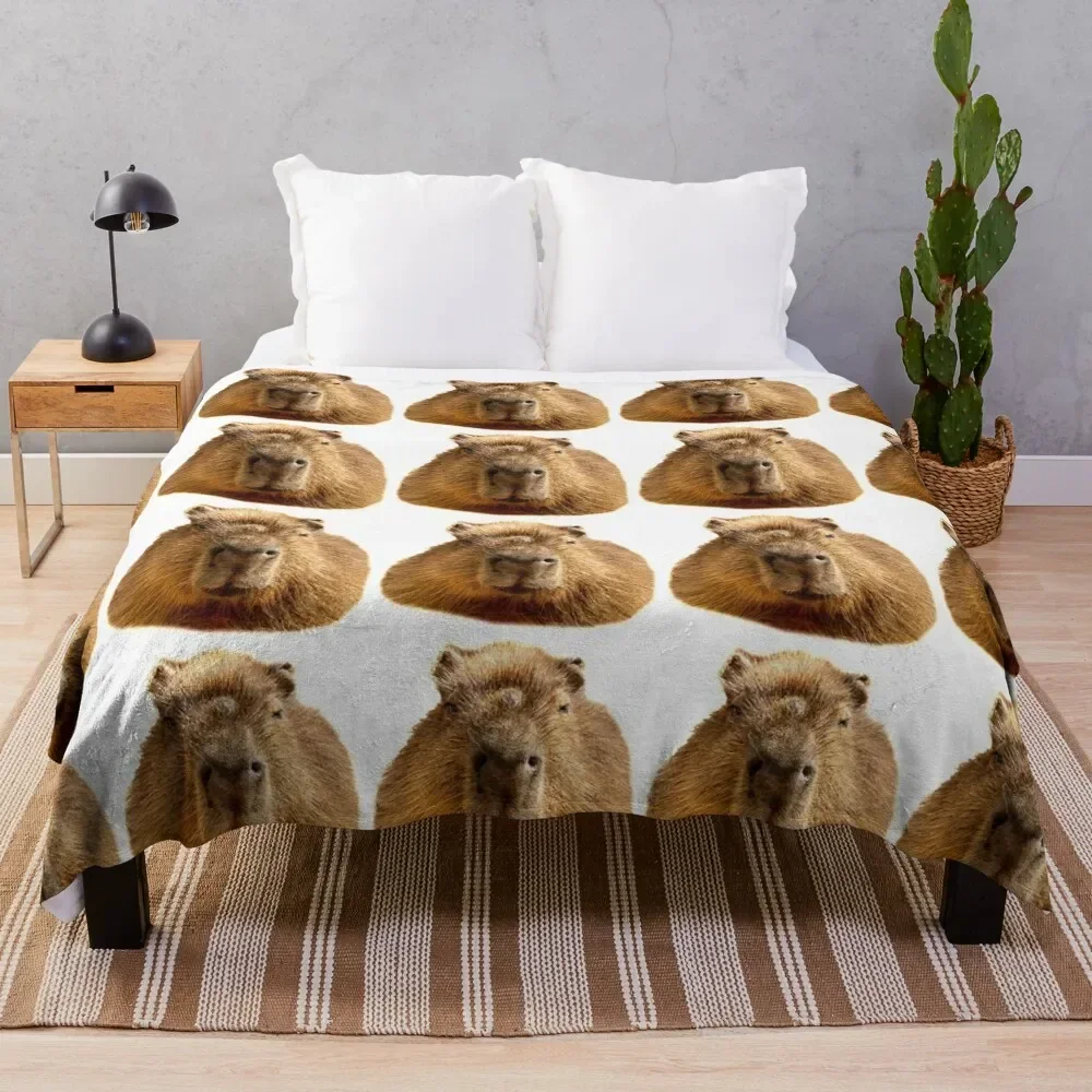 

Capybara dozing in the sunshine Throw Blanket warm winter fluffy Plaid Sleeping Bag Plaid on the sofa Blankets