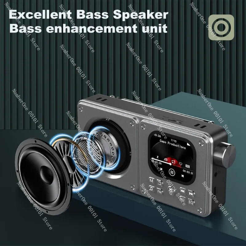 Professional MP3 MP4 Bluetooth Speaker, Portable Multimedia Player with FM Radio, Wireless Audio Speaker System