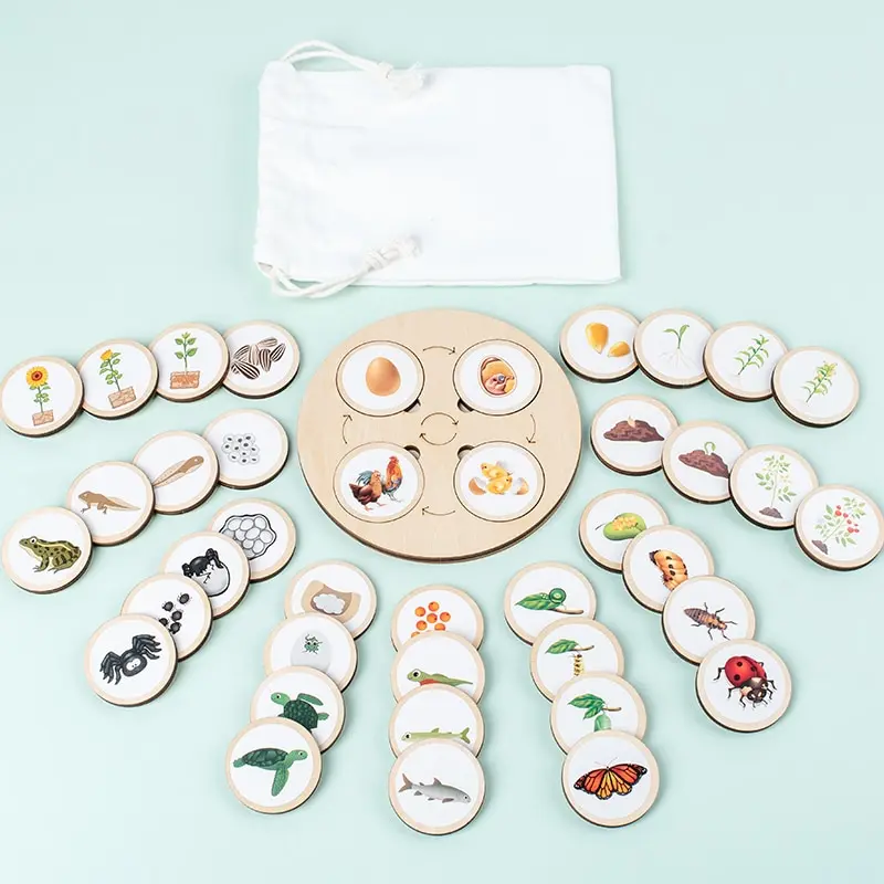 Lebenszyklusbrett, Montessori-Set, Biologie, wissenschaftliche Bildung für Kinder, sensorisches Tablett, Tierfigur, Lebenszyklus, Sortierung von Weihnachtsgeschenken