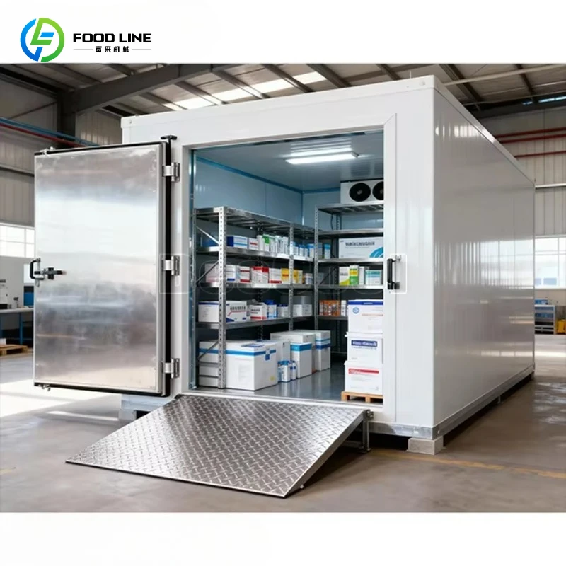 Customized Outdoor Portable Mobile Cold Room Build Refrigerator Walk in Freezer Containers Chiller Room for Medical Supplies