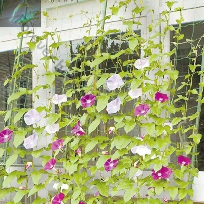BHBD-Garden Trellis Netting, 1.8X0.9M, Polyethylene-Made Perfect For Climbing Plants And Garden Support