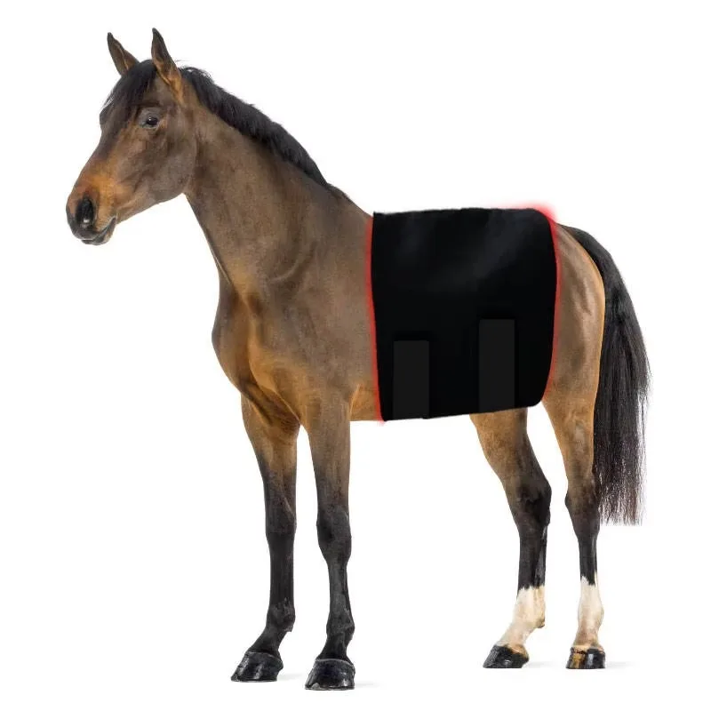 Equine Horse Leds Red Light Infrared Therapy Dog Led Therapy Veterinary Physiotherapy Equipment Light Therapy Pet Animal Care