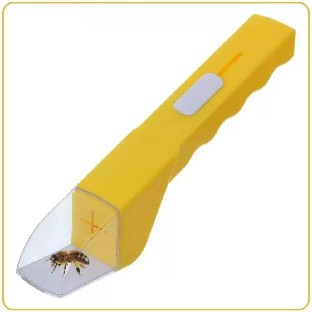 Portable Insect Trap, Children's Outdoor Exploration Insect Observation Box, Suitable for Bees, Spiders, Mosquitoes, Etc.