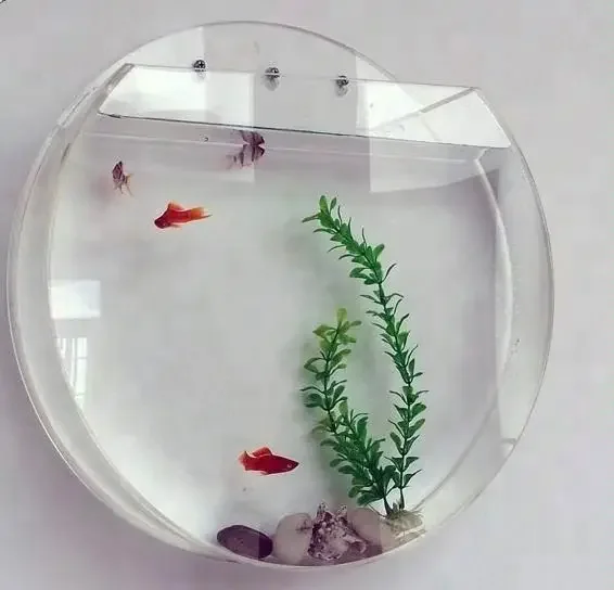 Wall hanging acrylic aquarium