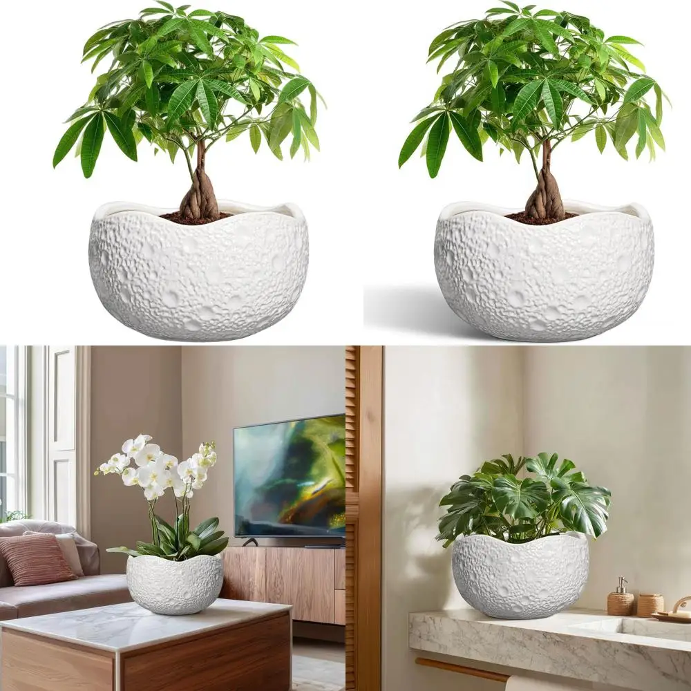 

Круглый горшок для бонсай 10 дюймов с дренажным отверстием, декоративное кашпо для дома и улицы, белый